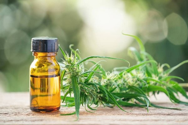 Quels sont les Bienfaits des Fleurs de CBD ?