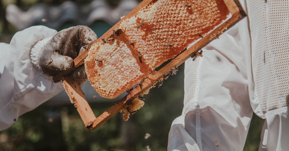 Pourquoi le miel guérit ?